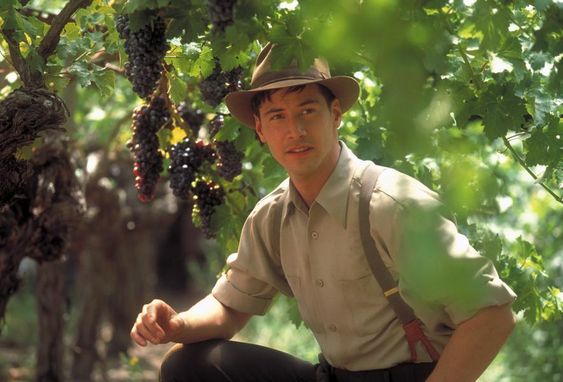 Vino&Cinema: una lunga storia d’amore