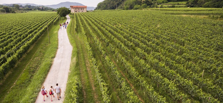 La strada del Vino in Franciacorta: uno spettacolo per i sensi