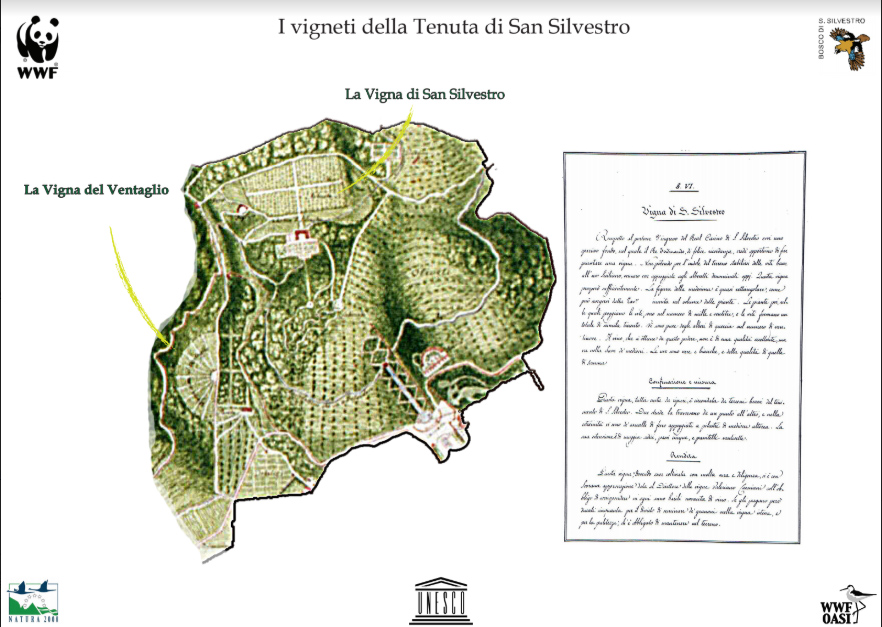 La prima bottiglia della vigna reale della Reggia di Caserta