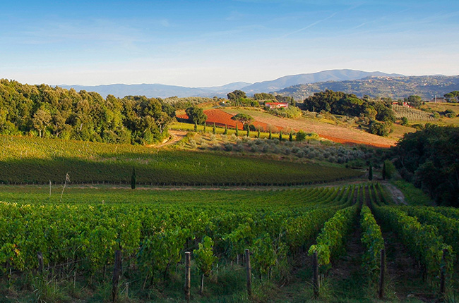 Bolgheri stoppa il riconoscimento europeo del vino bulgaro Bolgaré
