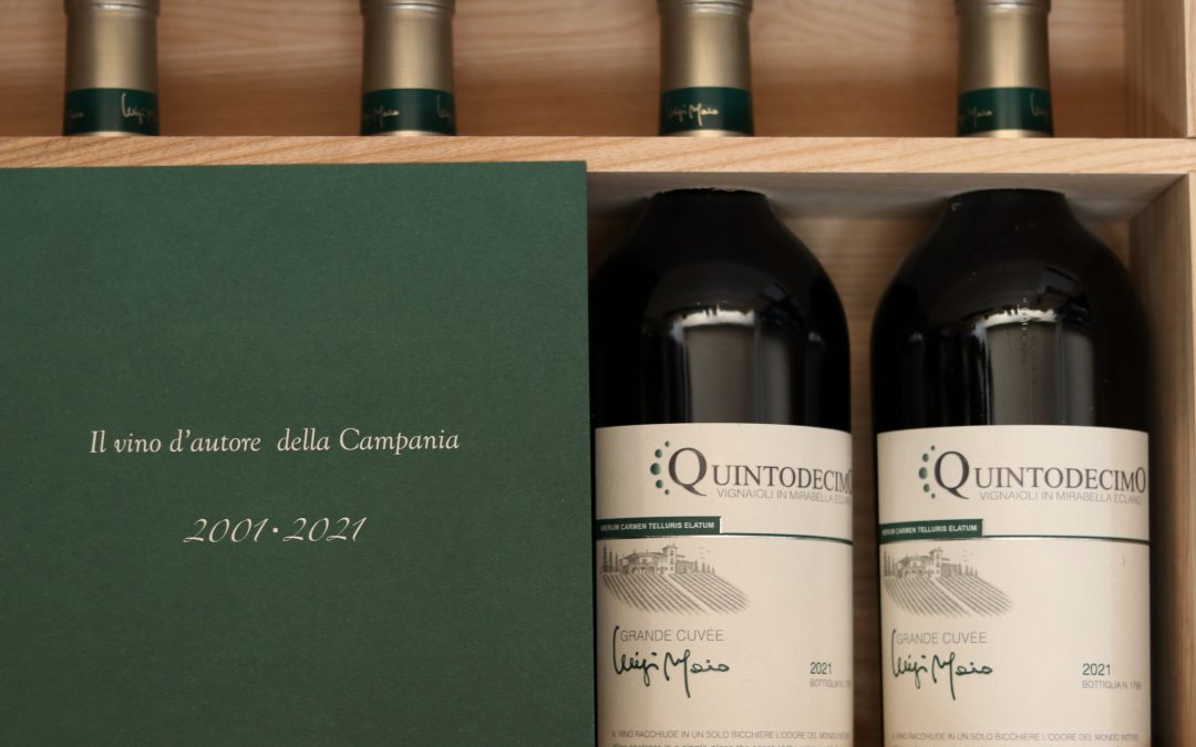 Quintodecimo: una storia di passione e dedizione al vino