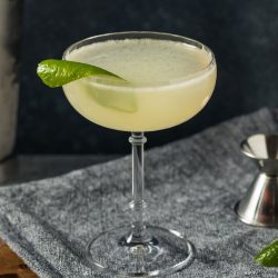 Top 5 cocktail con Gin
