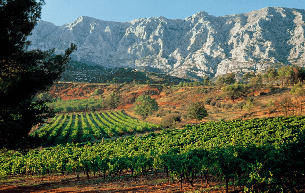 Rosé: un vino antico che parla al presente