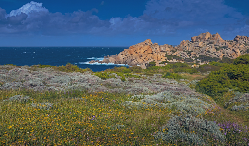 gallura