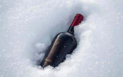 Vini dell’inverno: come scegliere il rosso perfetto per la stagione fredda
